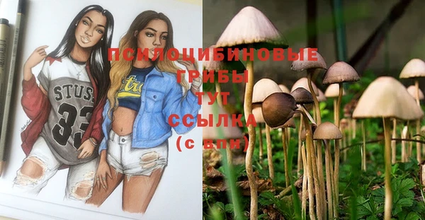 герыч Бикин