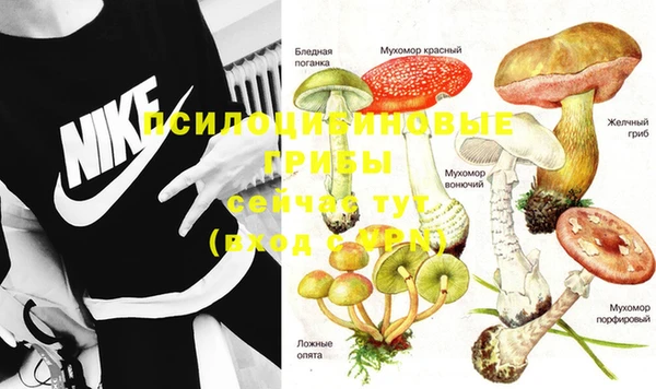 spice Новозыбков