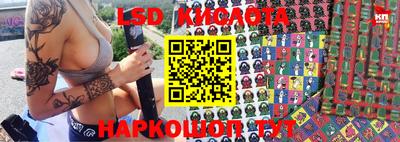 амф Заволжье