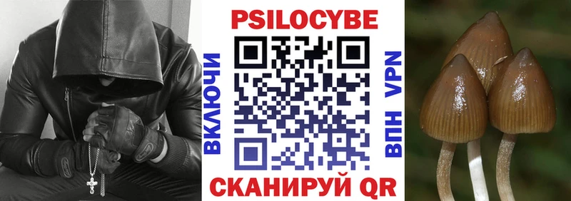 mega сайт  Моздок  Псилоцибиновые грибы GOLDEN TEACHER 