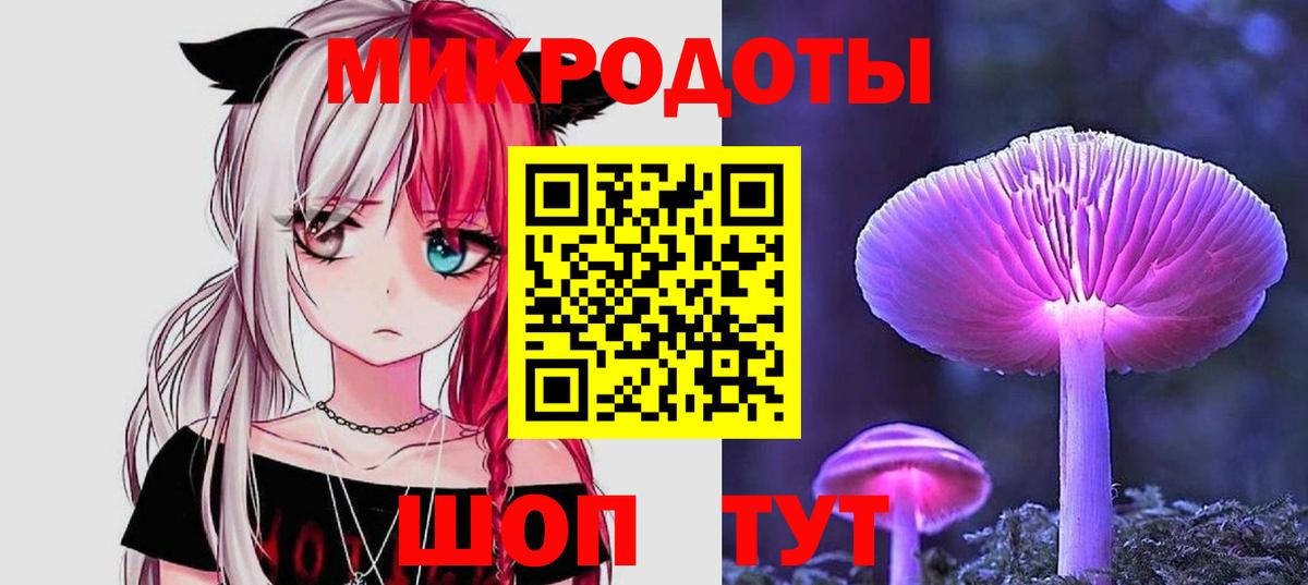 Галлюциногенные грибы Cubensis Моздок