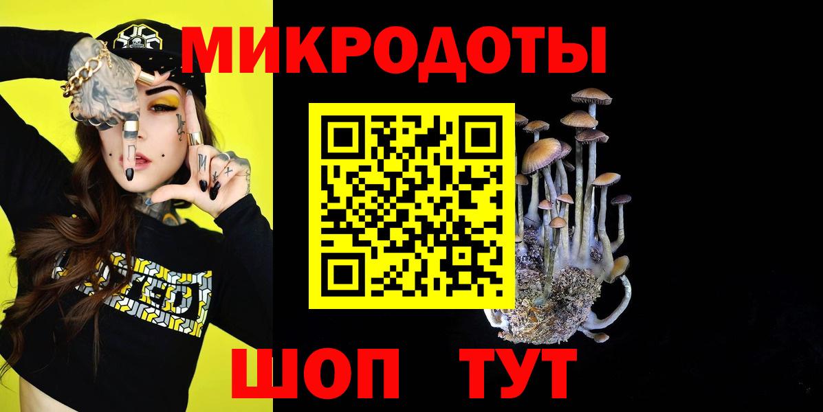 Галлюциногенные грибы мухоморы  купить закладку  Моздок  Вход с VPN 